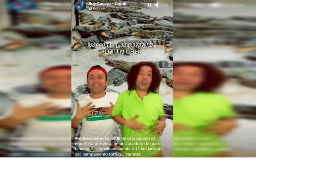 lanzan canción viral inspirada en cocodrilos de zona sur