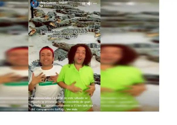 lanzan canción viral inspirada en cocodrilos de zona sur