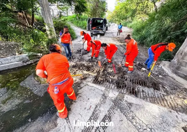 Limpialeón refuerza operativo de limpieza de alcantarillas por lluvias