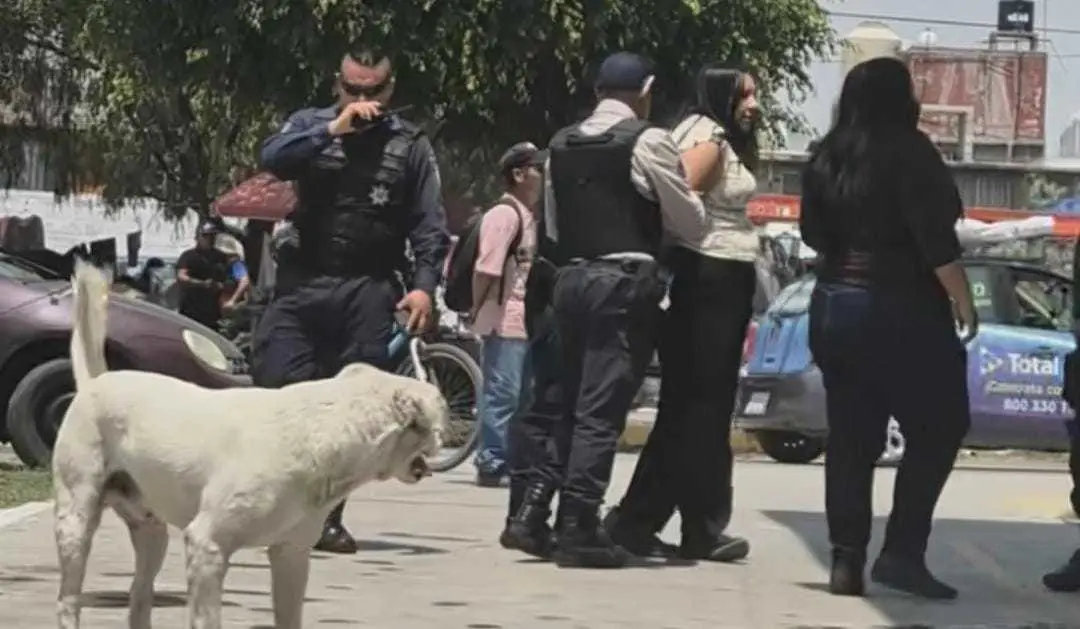 Caos en Gasolinera de Jaltenco: Mujer amenaza con pistola despachadora. Foto: Captura de pantalla