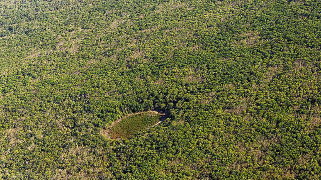 Greenpeace vs Xcaret: Alertan sobre megaproyecto hotelero en la selva maya