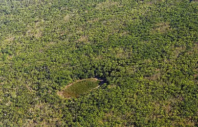 Greenpeace vs Xcaret: Alertan sobre megaproyecto hotelero en la selva maya