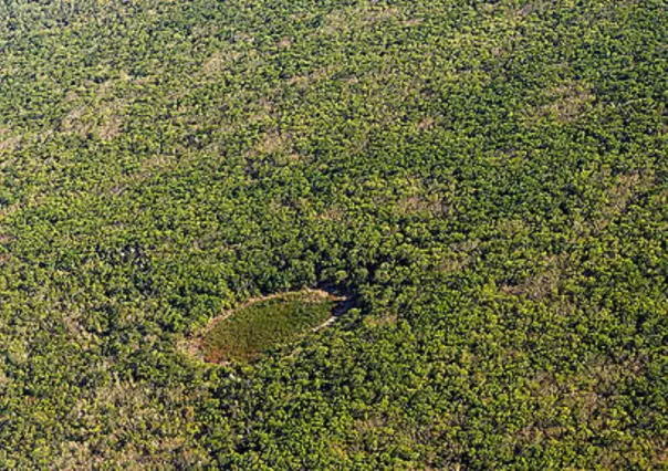 Greenpeace vs Xcaret: Alertan sobre megaproyecto hotelero en la selva maya