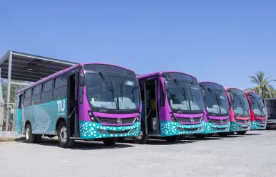 Todo sobre el nuevo transporte público Tiburón Urbano en La Paz