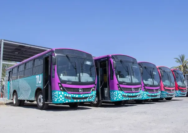 Todo sobre el nuevo transporte público Tiburón Urbano en La Paz