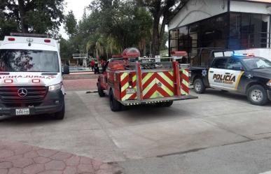 Pican abejas a 45 niños en el Club Campestre; hay 10 hospitalizados