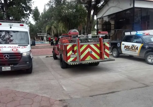 Pican abejas a 45 niños en el Club Campestre; hay 10 hospitalizados