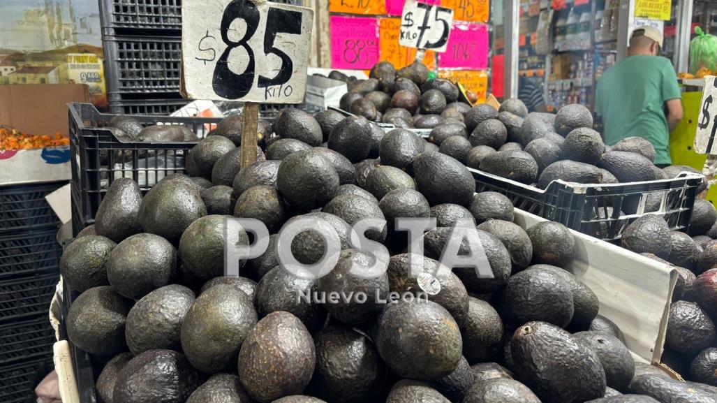 El precio del aguacate casi llega a los 100 pesos