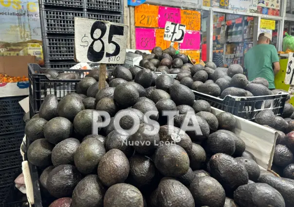 El precio del aguacate casi llega a los 100 pesos