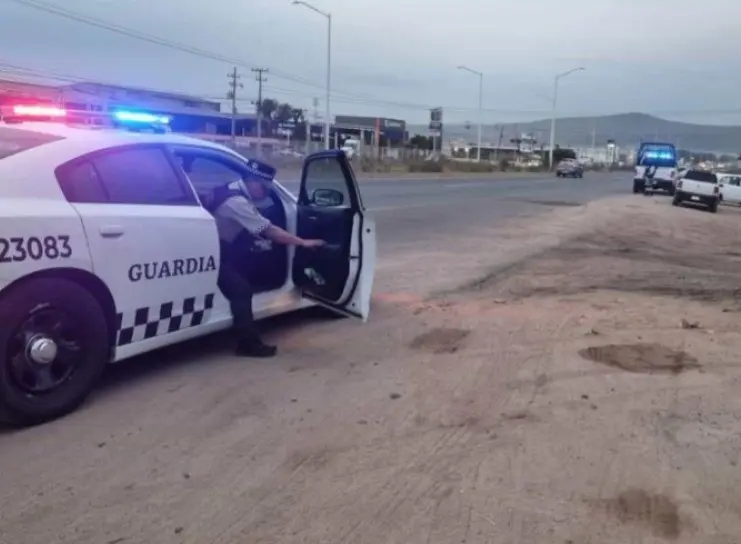 Elementos de la Guardia Nacional llevando a cabo un operativo de búsqueda. Foto: Luz Noticias.