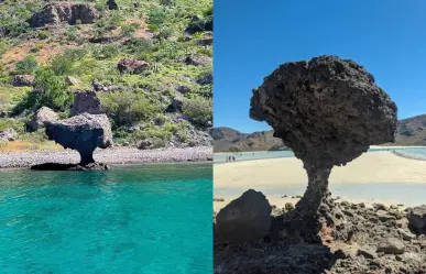 El hongo de Balandra tiene un gemelo ¿Ya lo conoces?