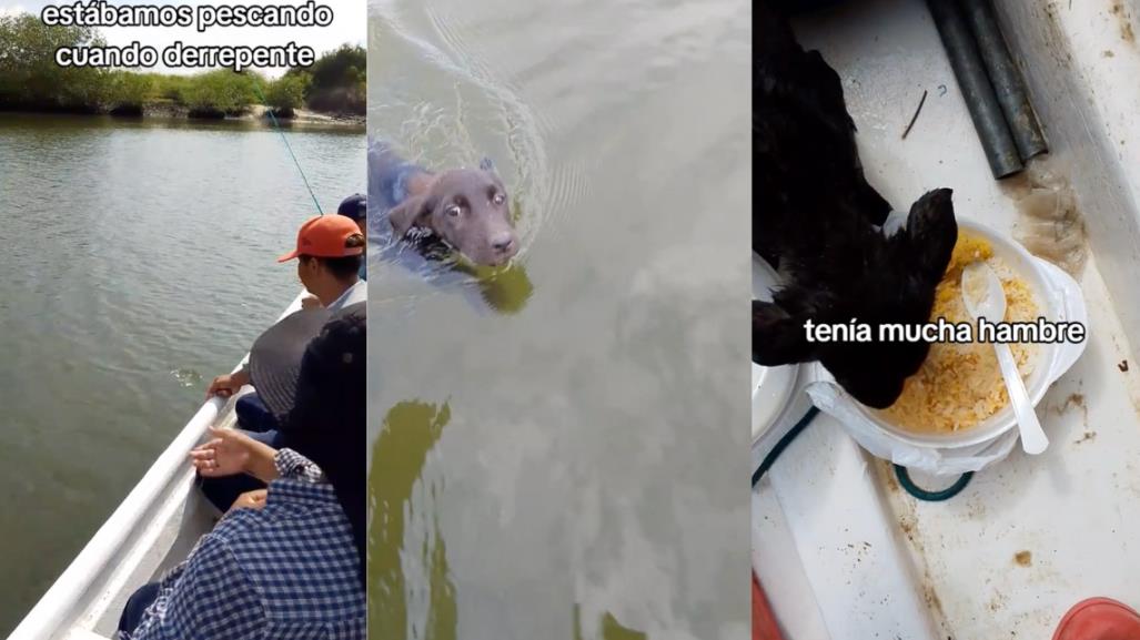 Grupo de pescadores salva a perrita en apuros (VIDEO)