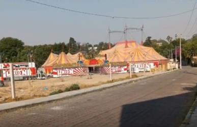 Si te gusta el circo y te gusta enseñar, esto es para ti