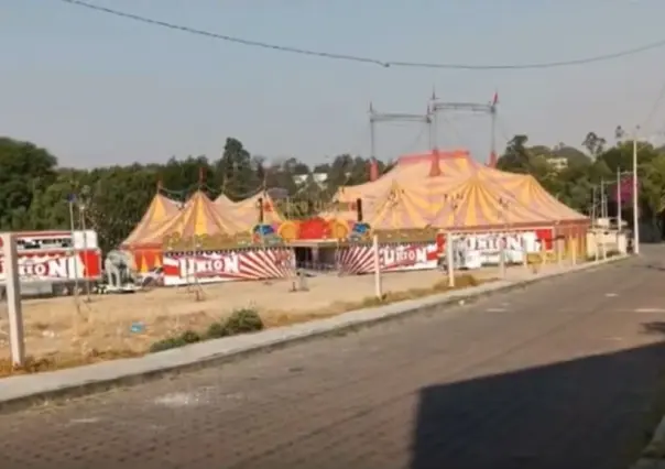 Si te gusta el circo y te gusta enseñar, esto es para ti