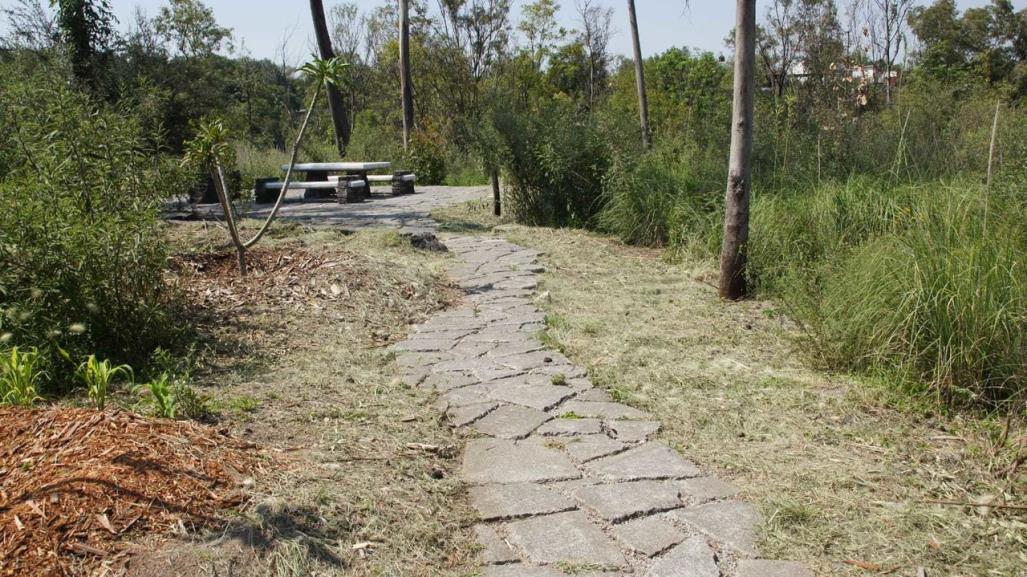 Paraíso escondido: Explora el Bosque Clausell en Chapultepec, conoce cómo llegar