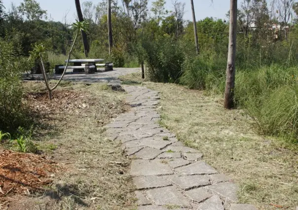 Paraíso escondido: Explora el Bosque Clausell en Chapultepec, conoce cómo llegar