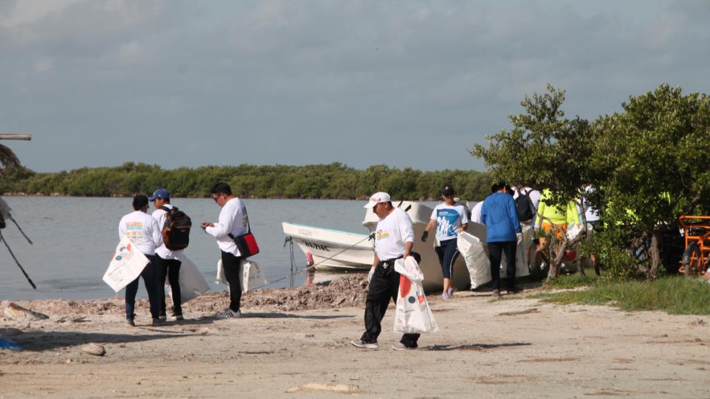 Recolectan casi mil kilos de basura en jornada limpieza de playas en Chelem