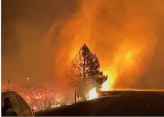 El incendio ha arrasado parques y bosques en California. Foto: AP.