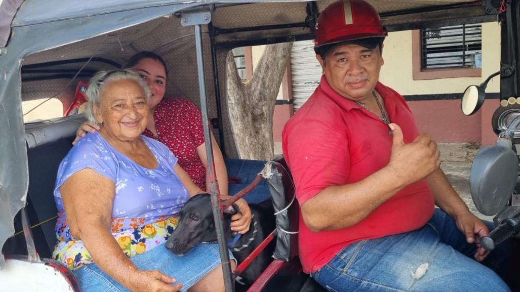 Coquito, perrita rescatada en Chichén Itzá, encuentra nuevo hogar en Kanasín