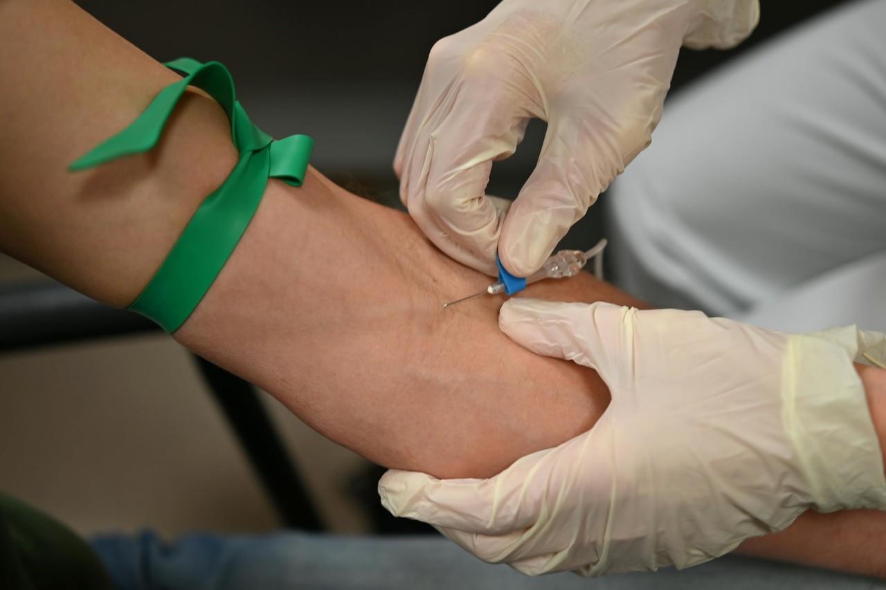 Piden donación de sangre para Loretta. Foto de Pexels.