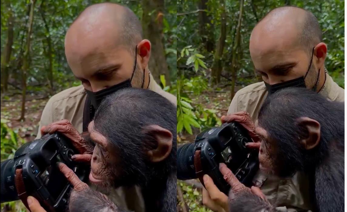 El fotógrago, JC Piere junto a la chimpancé Tchossa. Foto: Captura pantalla video Instagram @jcpieri