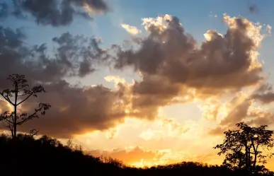 Aquí tienes el pronóstico del tiempo para Tamaulipas