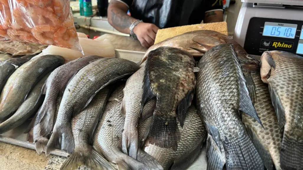 Reportan bajas ventas en pescados y mariscos en mercados de Mérida