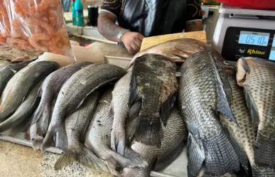 Reportan bajas ventas en pescados y mariscos en mercados de Mérida