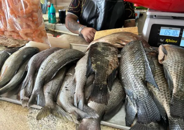 Reportan bajas ventas en pescados y mariscos en mercados de Mérida