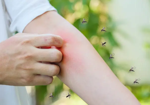 Suma Coahuila más de 100 casos de dengue; así es como puedes prevenirlo