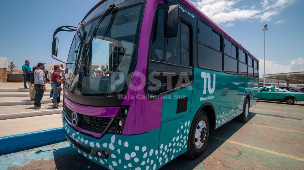 Tiburones Urbanos renovarán transporte público: modernidad, seguridad y acceso