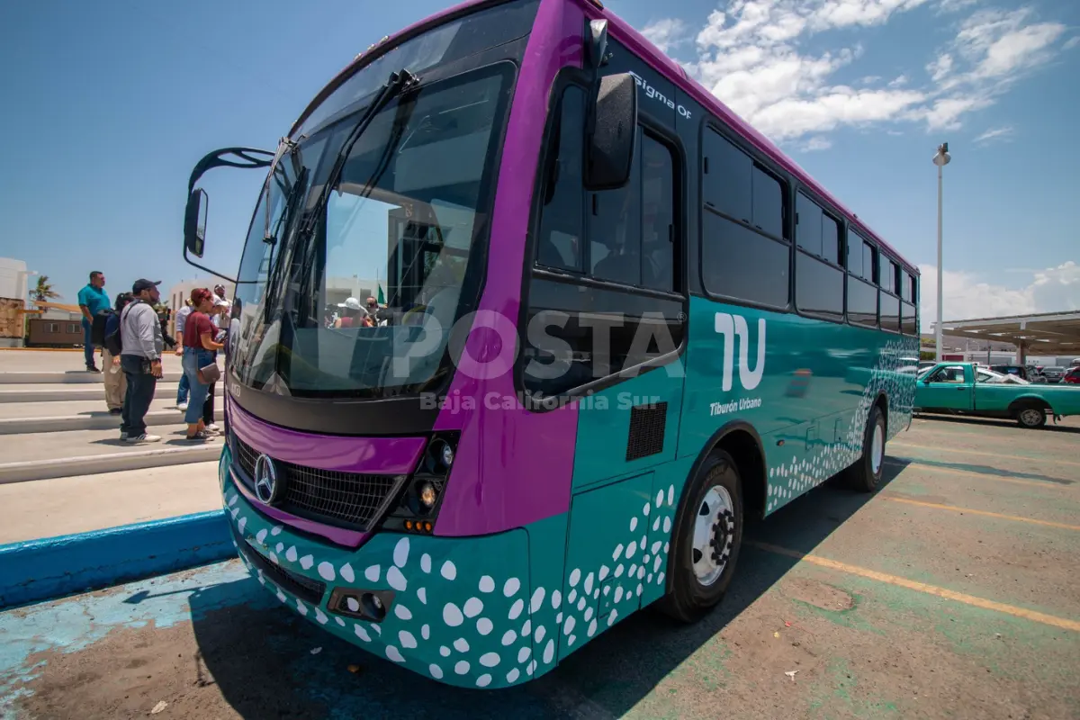 Las tarjetas para acceder al servicio ya están disponibles. Foto por Joel Cosio Posta BCS