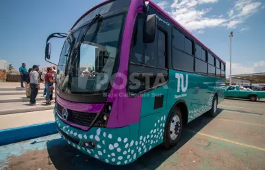 Tiburones Urbanos renovarán transporte público: modernidad, seguridad y acceso