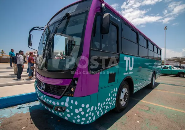 Tiburones Urbanos renovarán transporte público: modernidad, seguridad y acceso