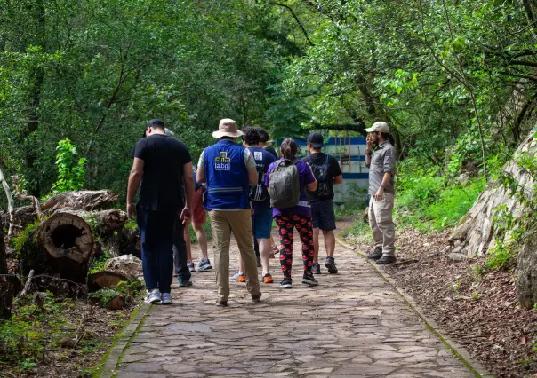 Proyecto BiodiverCiudades: Avances desde LABNL y Secretaría de Cultura