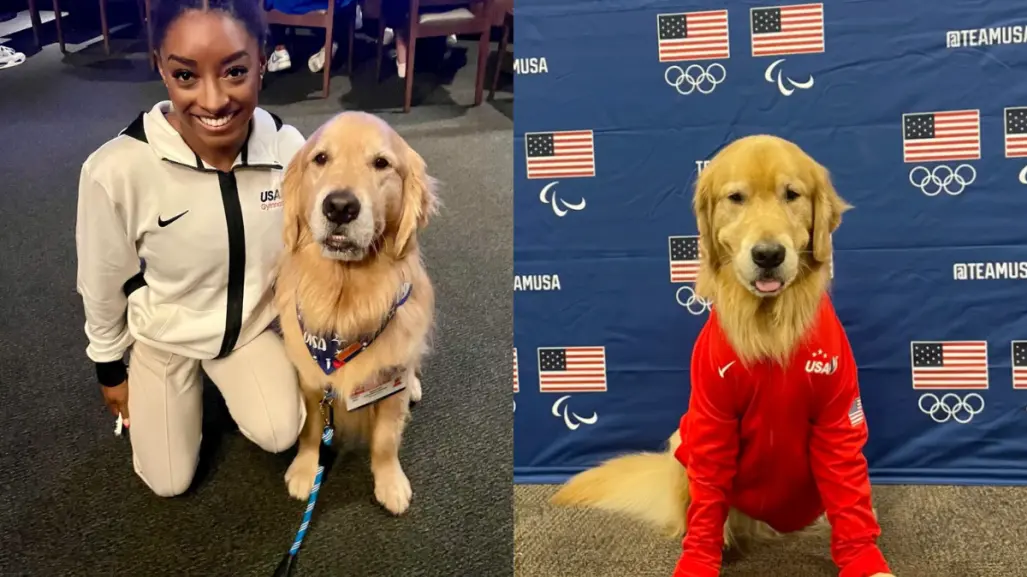 Beacon, el perrito de terapia que conquista las Olimpiadas con su ternura