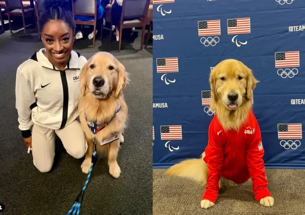 Beacon, el perrito de terapia que conquista las Olimpiadas con su ternura