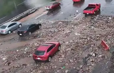 Caos en Indios Verdes por tormenta, suspenden transporte