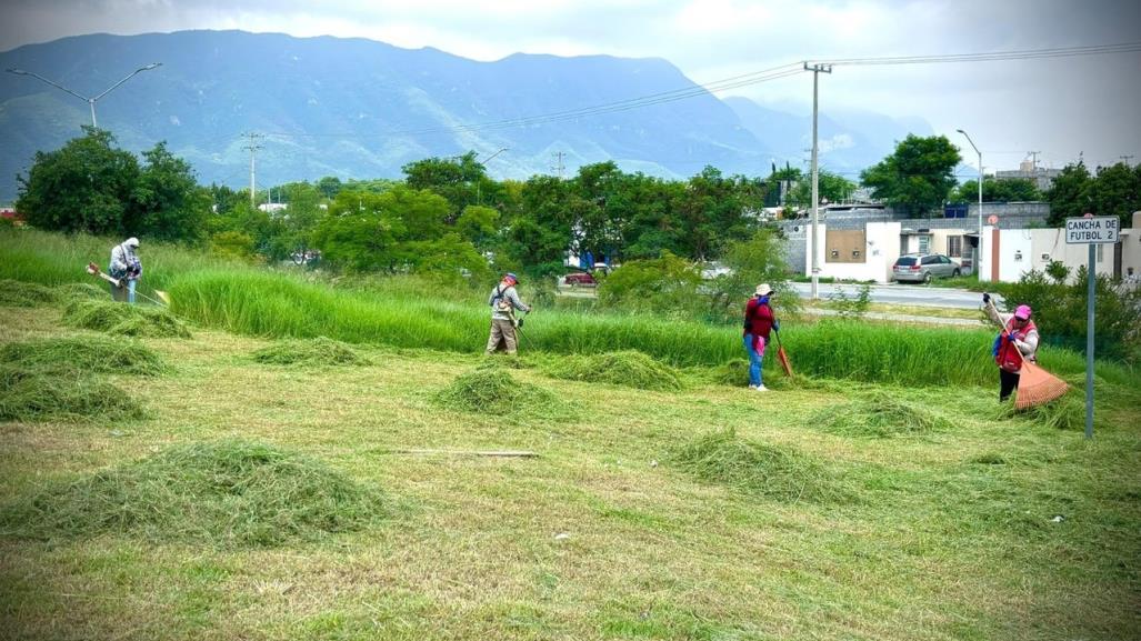 Continúa la limpieza de áreas verdes en Juárez