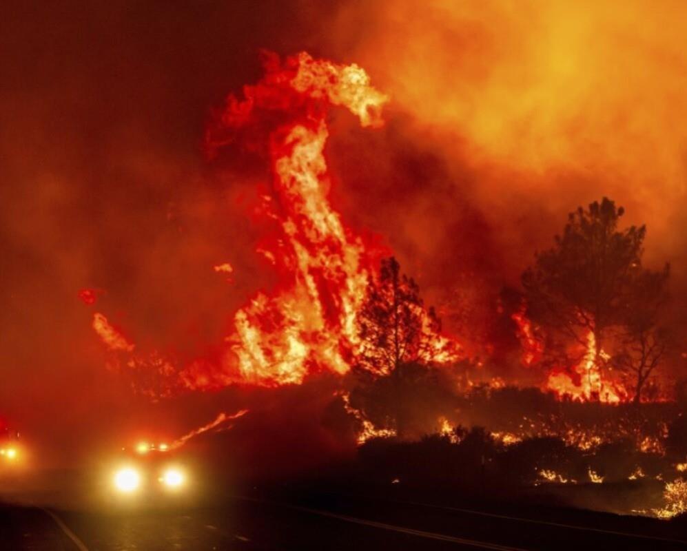 El incendio forestal en California, ha requerido de al menos 4 mil 800 bomberos para combatirlo. Foto: Los Angeles Times.