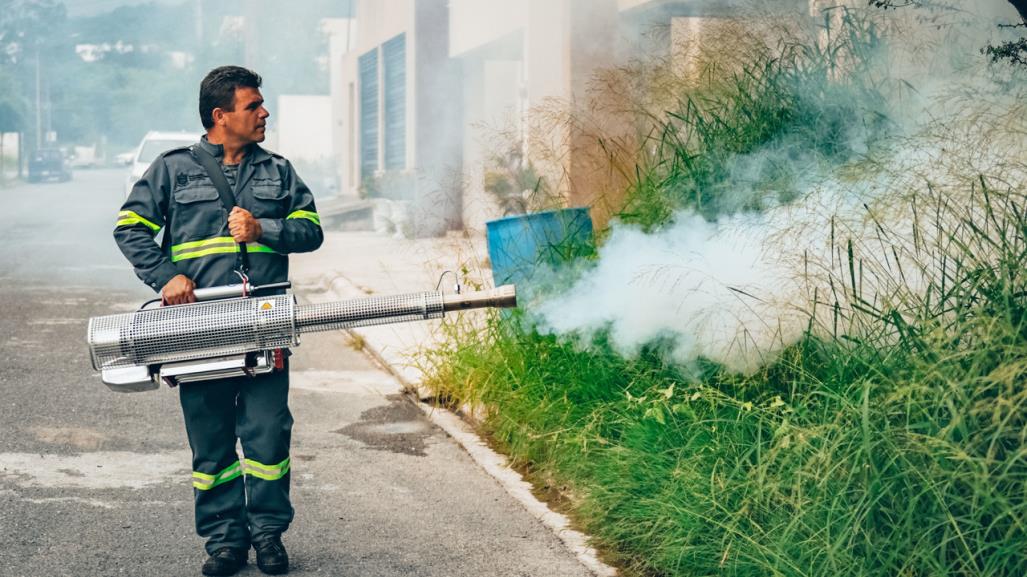 Arranca en Santiago campaña de fumigación contra el dengue