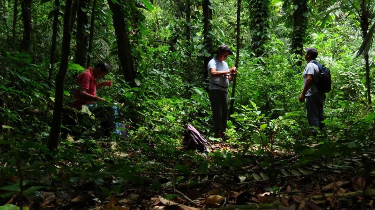 El 31 de julio se conmemora el Día de los Guardabosques, quienes son fundamentales para la conservación de los bosques. Foto: Conanp