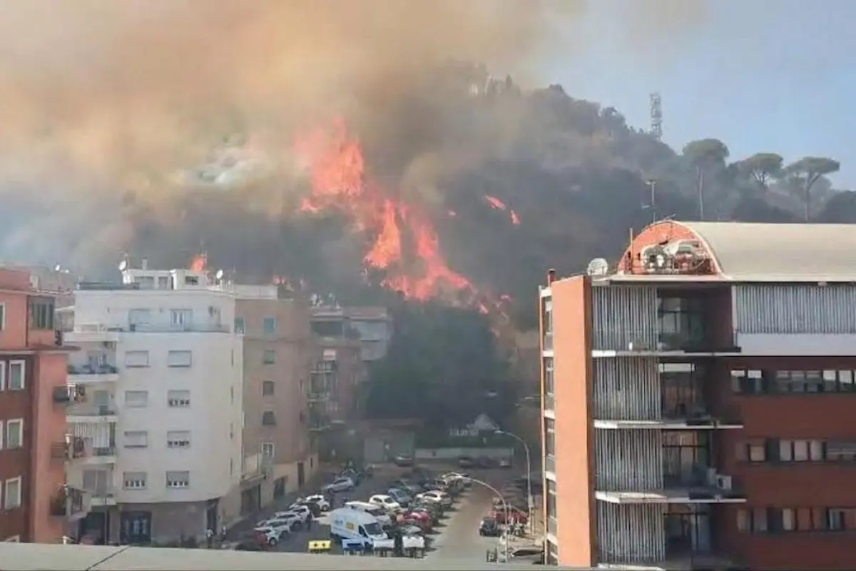 Las llamas se extendieron a lo largo de la zona Foto: X(Twitter) @FrancoScarsell2