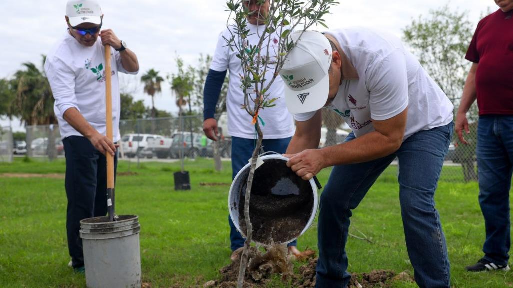 Formentan en Nuevo Laredo reforestación de espacios público