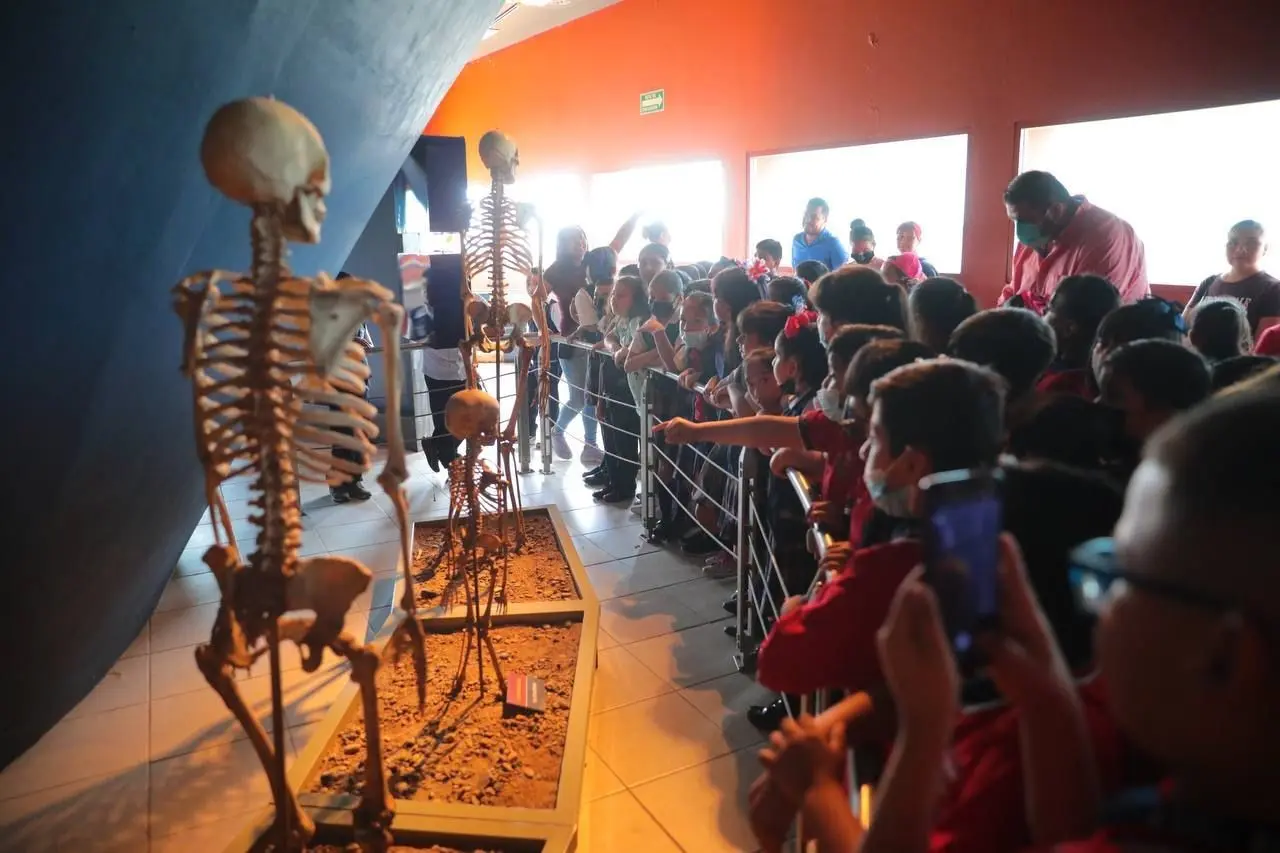 Explora los museos de Nuevo Laredo: Una excelente opción vacacional