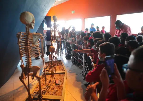 Explora los museos de Nuevo Laredo: Una excelente opción vacacional