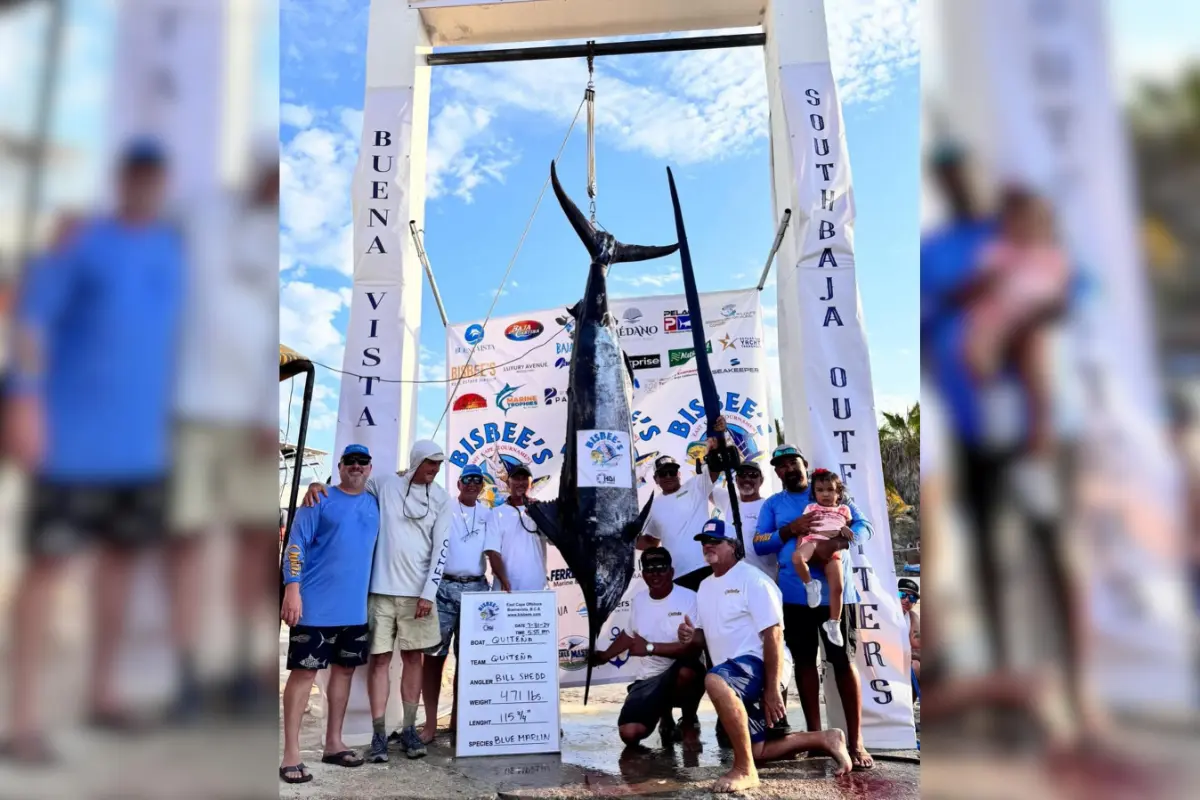 La “catch and release” o mejor conocida en español como liberación es una práctica común en torneos de pesca deportiva. Fotos: Bisbee’s Offshore Fishing Tournaments