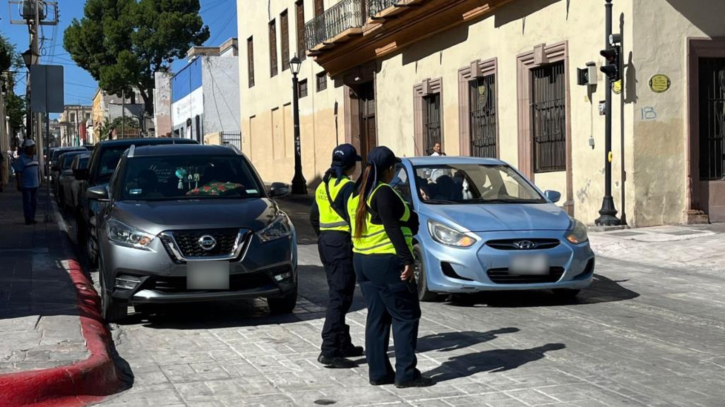 Llegan arañas inmovilizadoras a la zona centro de Saltillo