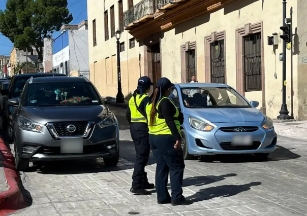 Llegan arañas inmovilizadoras a la zona centro de Saltillo