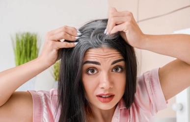 ¿Por qué nos salen canas?: conoce sus causas y como detener su aparición